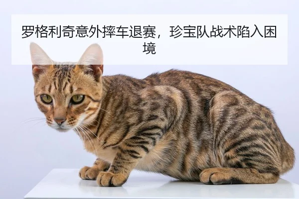 luo-ge-li-qi-yi-wai-shuai-che-tui-sai-zhen-bao-dui-zhan-shu-xian-ru-kun-jing-2-489.jpg